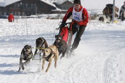 Lenk 2012 SM